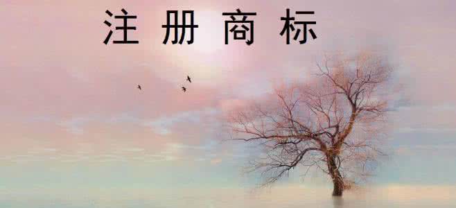 商標(biāo)還沒注冊成功可以使用商標(biāo)嗎？